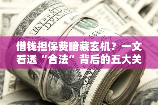济南借钱担保费暗藏玄机？一文看透“合法”背后的五大关键陷阱