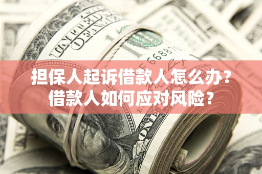济南担保人起诉借款人怎么办？借款人如何应对风险？